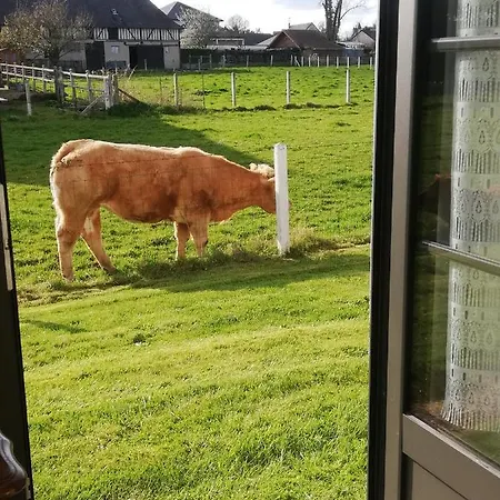 L'Opaline, Jolie Maison Avec Jardin 6 Pers,10Km Honfleur, Linge Inclus *